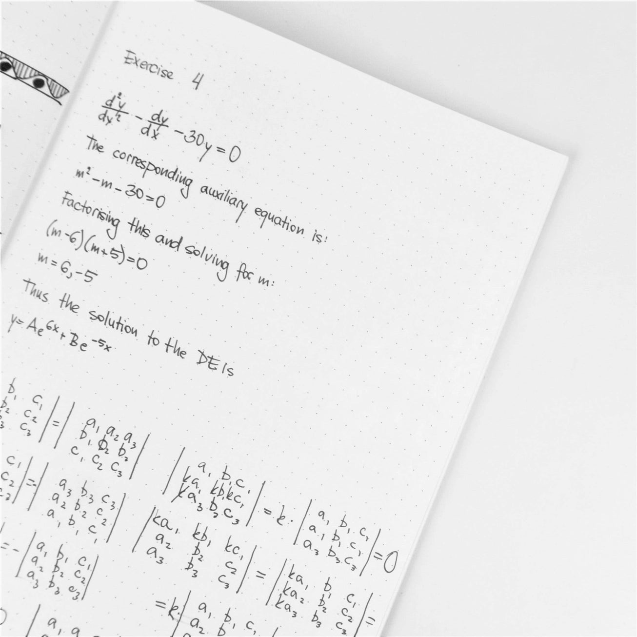 Notitieboekjes peaches & cherries