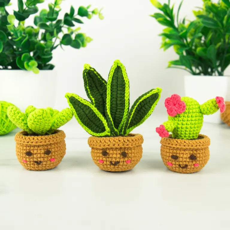 DIY crochet kit - Plants