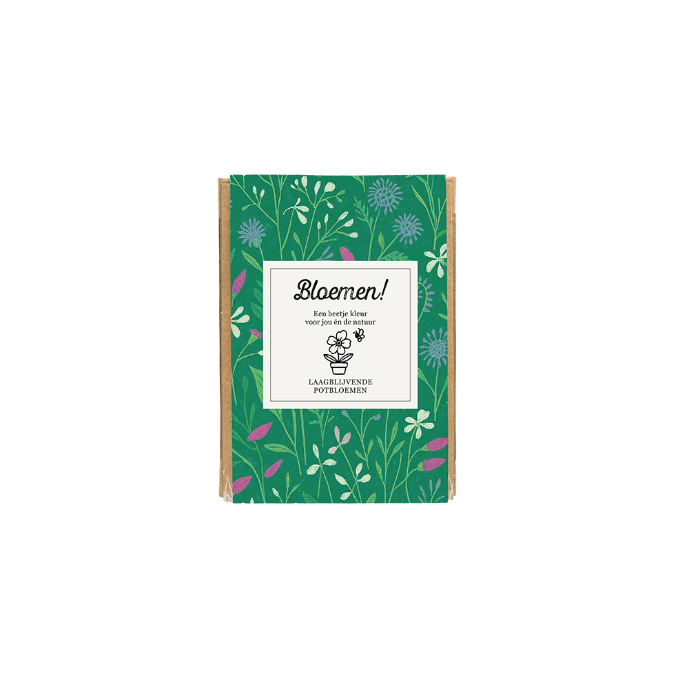 Blossombs - Bloemen! (mini)