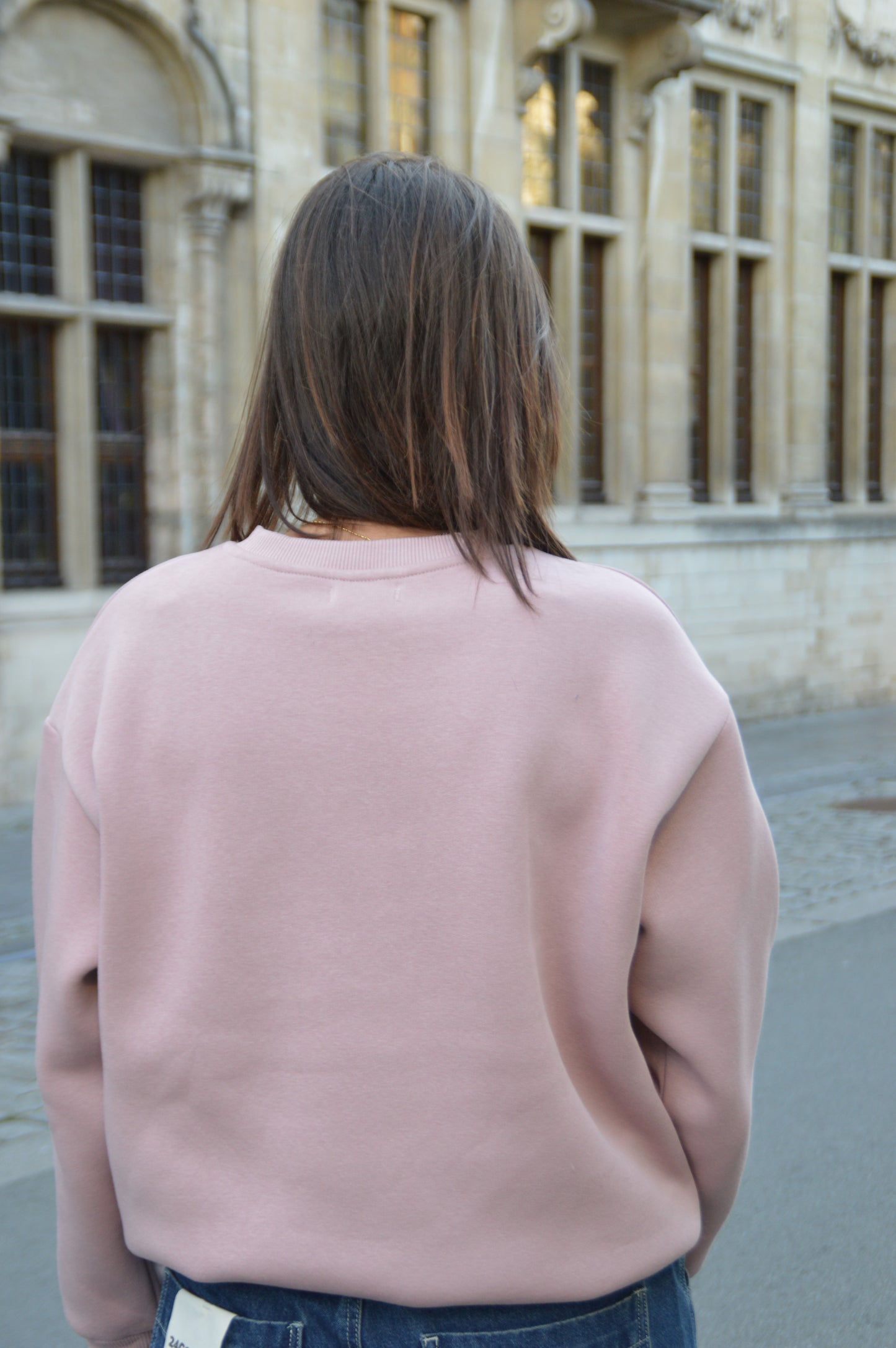 Roze sweater Rise