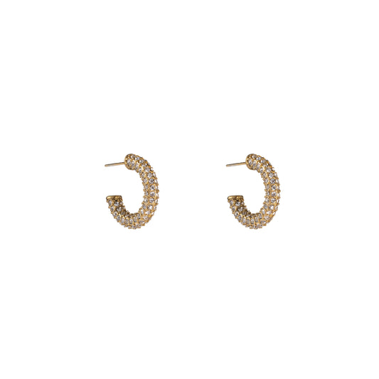 Oorbellen Bling ring goud