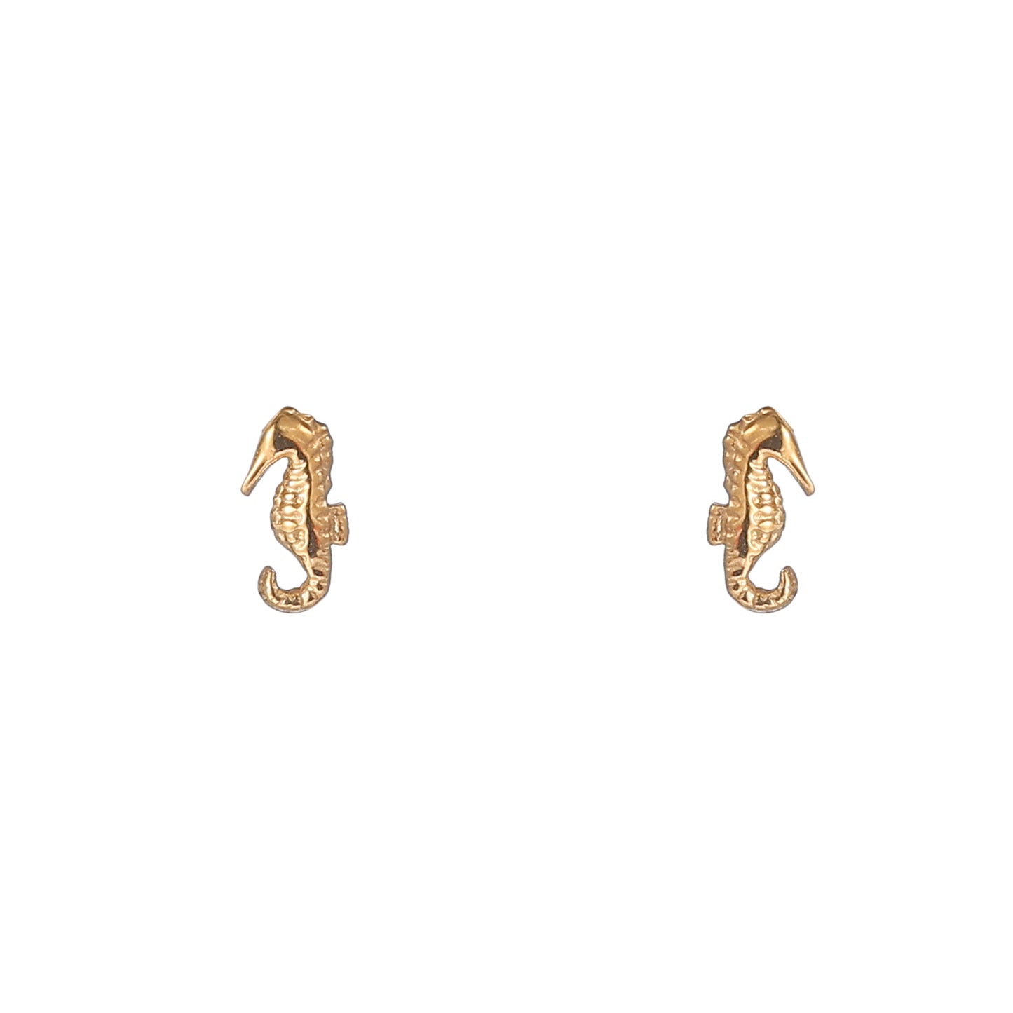 Oorbellen Seahorse stud