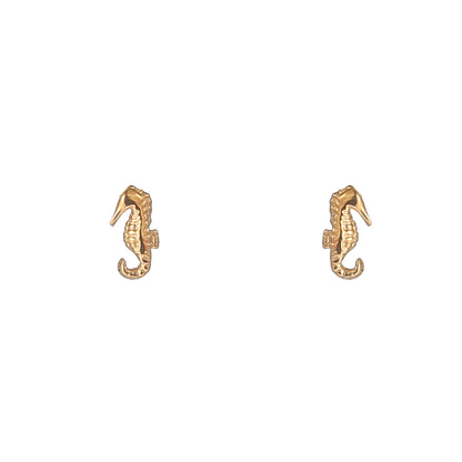 Oorbellen Seahorse stud