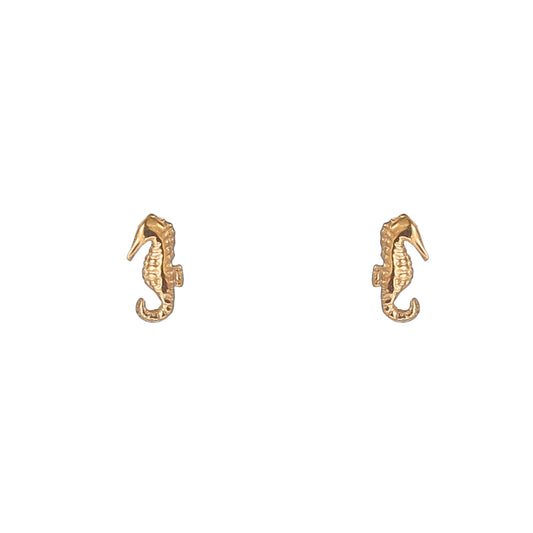 Oorbellen Seahorse stud