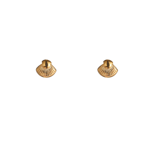 Oorbellen Seashell stud