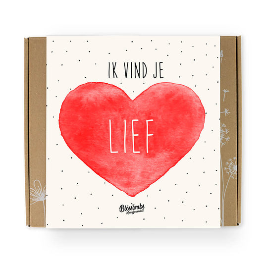 Blossombs - Ik vind je lief