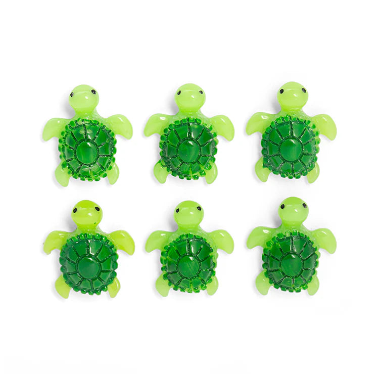 Magneetjes schildpadjes
