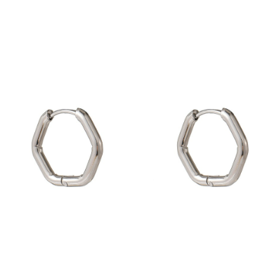 Oorbellen Octagon zilver