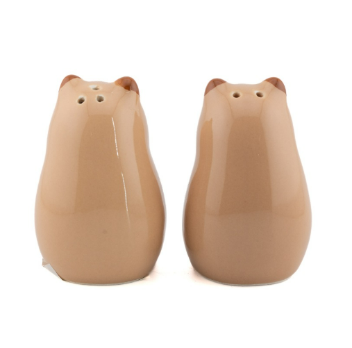Peper en zoutvatje capybara