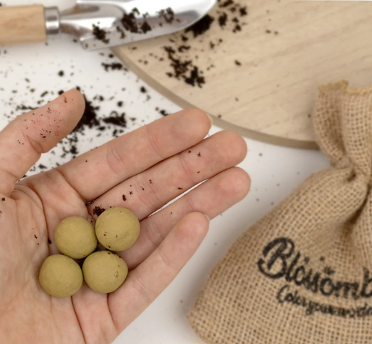 Blossombs - Bloemen! (mini)