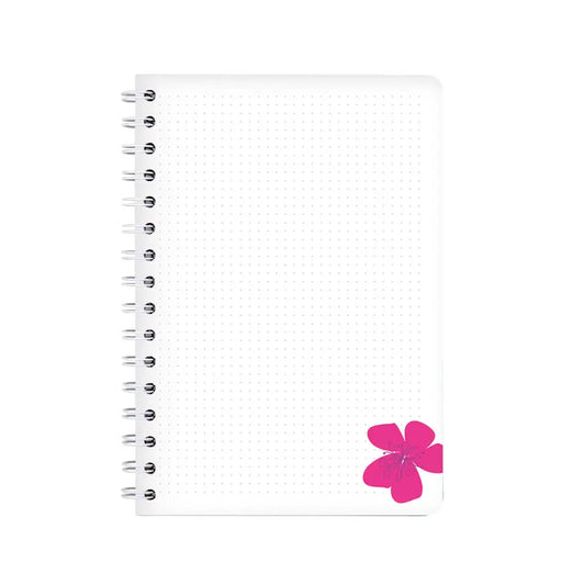 Schrift Primula